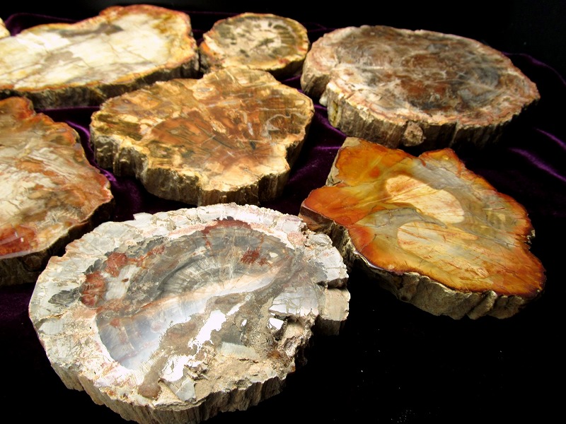 珪化木 ペトリファイドウッド プレート 置物 重さ170g-200g 神秘なる大