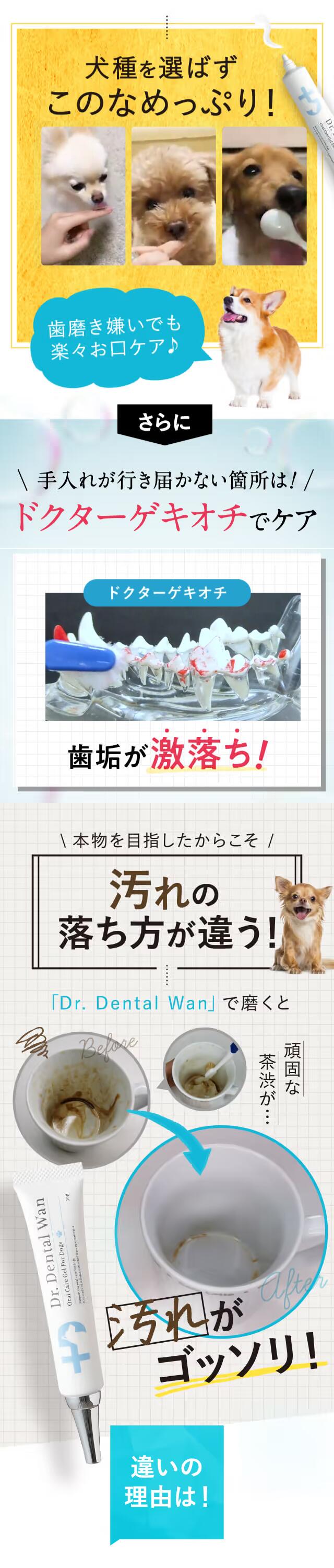 楽天市場】【2個セットでお得！】ドクターデンタルワン 30g×2本 2ヶ月