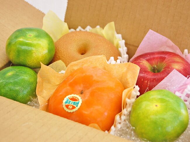 ネット本店】フルーツ季語数No.1“秋果”の季節がやってきた！｜フルーツ