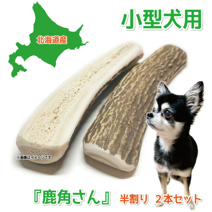 楽天市場】【大型犬用 蝦夷鹿の角】『鹿角さん』 けんか角 1本 サイズ