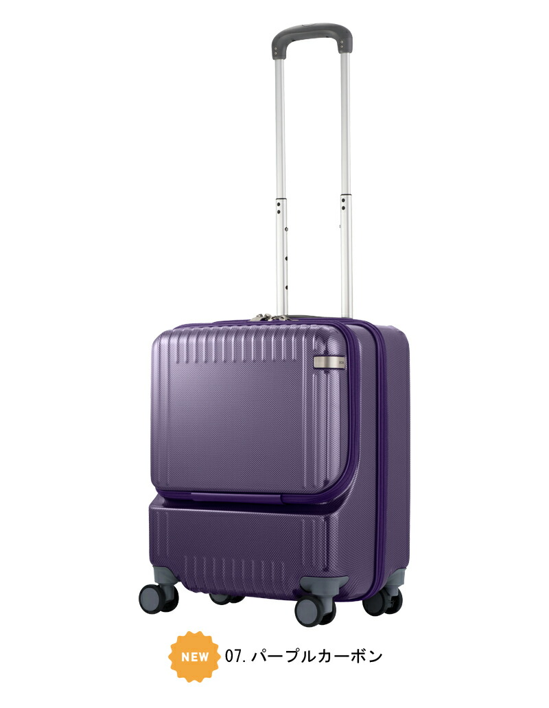 送料無料 正規品 スーツケース 機内持ち込み 新色追加 エース ACE ace