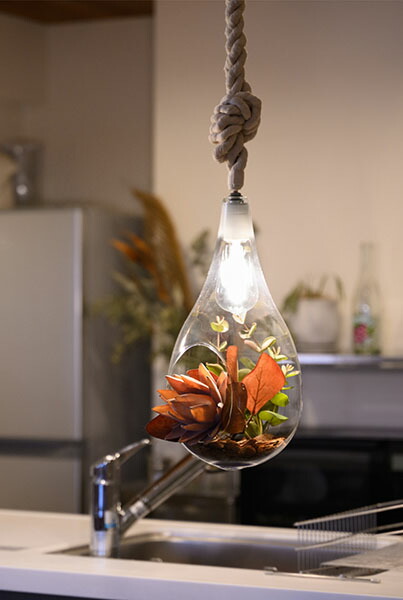 楽天市場】SWAN スワン電器 BOTANIC HANGING LIGHT with FAKEGREEN L