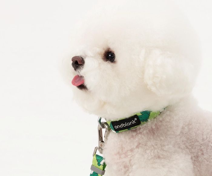 楽天市場】即納【andblank】ICONIC Lazy Crocodile Collar（Green