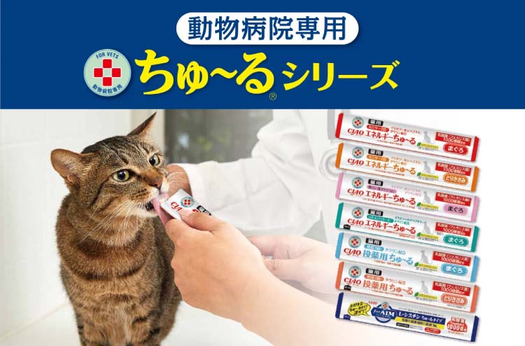 楽天市場】動物病院専用 CIAO 猫用 エネルギーちゅ〜る 低リン低