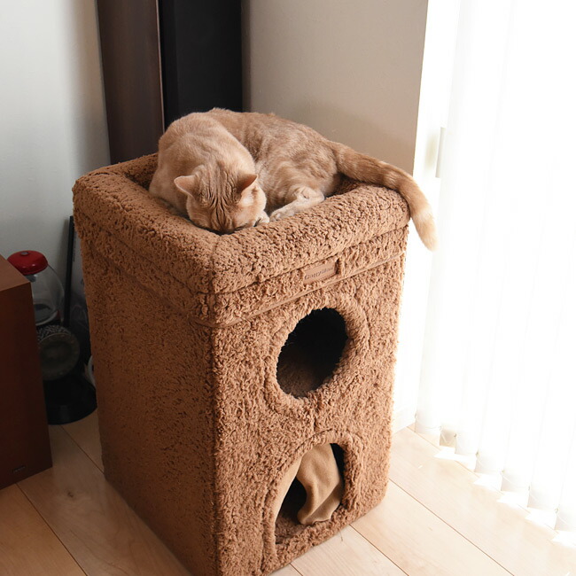 楽天市場】【セール対象品】キャティーマン HOT HOME ネコの暖かい