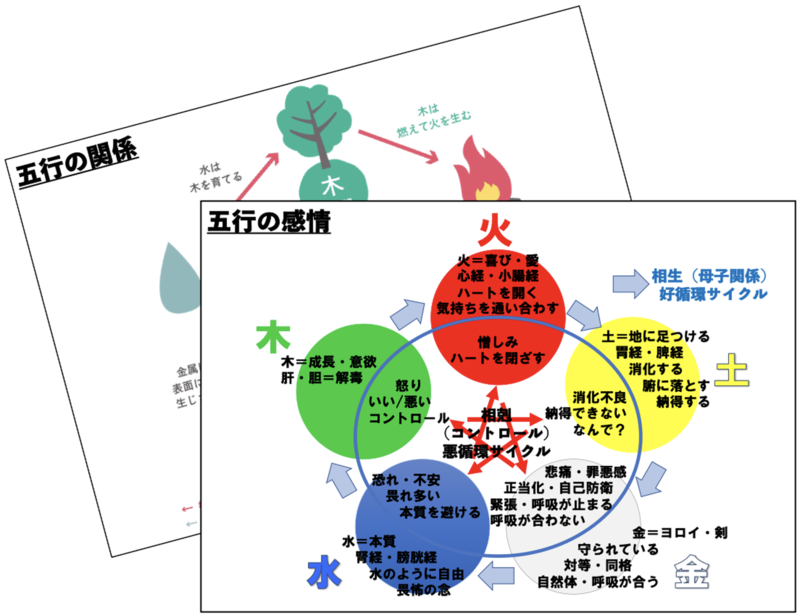 BU陰陽五行マット・セラピー（Eラーニング）五行マット付き｜田仲 真治