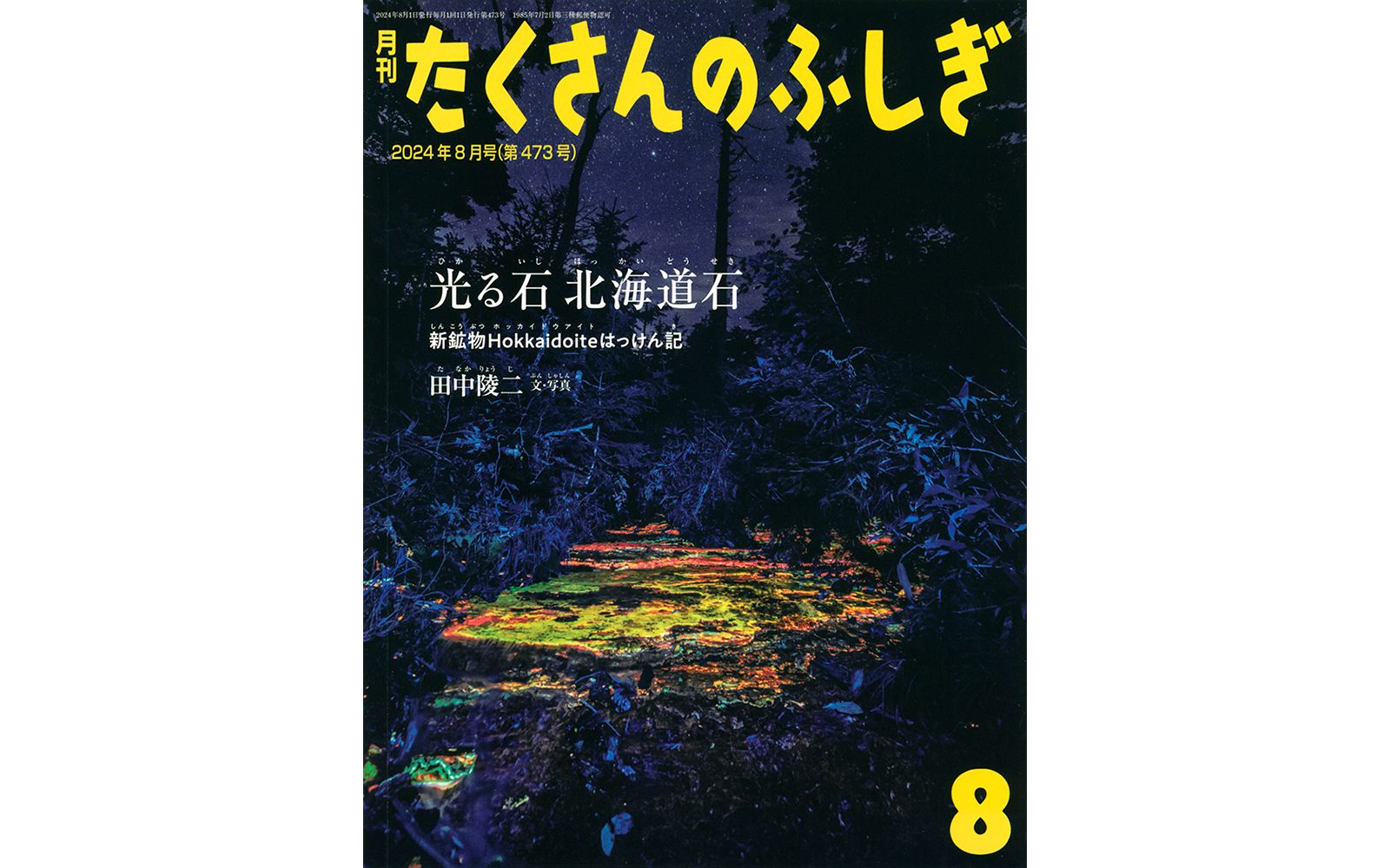宝石初心者からプロまで必読・宝石を楽しむ方法のすべて |TOPSTONE推薦