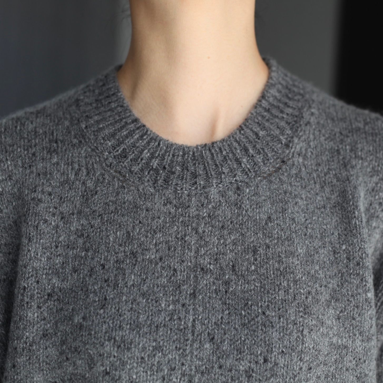 ssstein - 【残り一点】Cashmere/Sable Tweed Knit Crew Neck LS