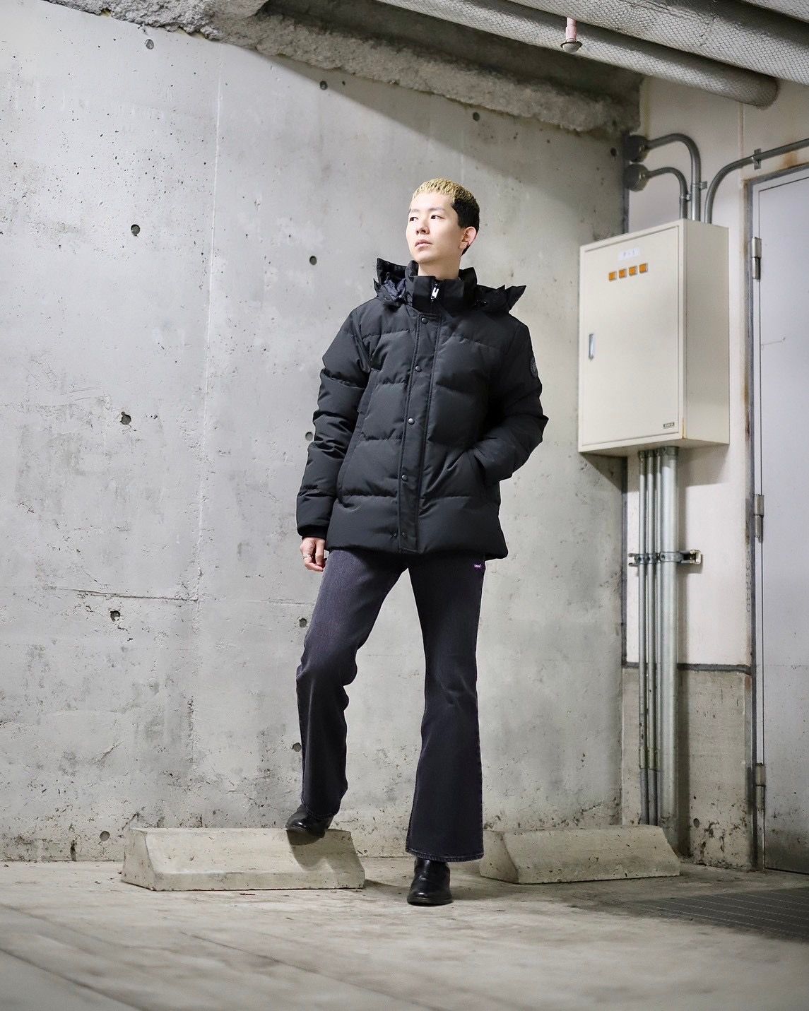 CANADA GOOSE カナダグース 新作Wyndham Parka BLACK LABELスタイル