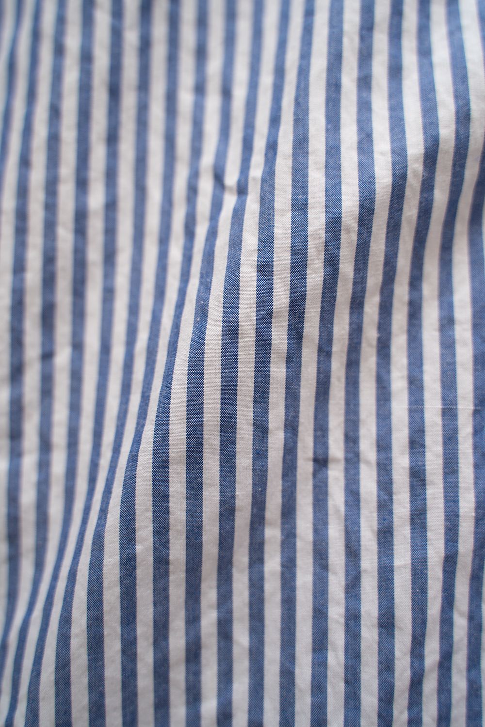 CIOTA - 【ラスト1点】スビンコットンタイプライターバンドカラー