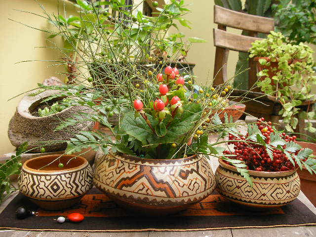 アマゾンの素焼の壺 | ペルーアマゾンの泥染めとシピボ族の人々 - 楽天