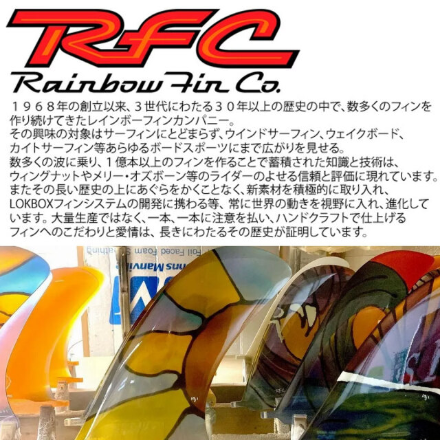ロングボード 9.5 レインボーフィン エル ガトー Rainbow fin EL GATO