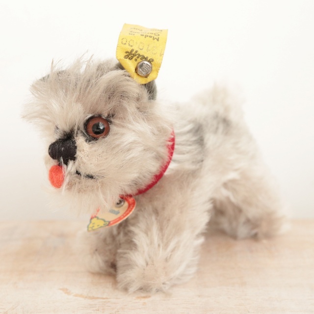 アンティーク シュタイフ シュナウザー Steiff Tessie 10cm