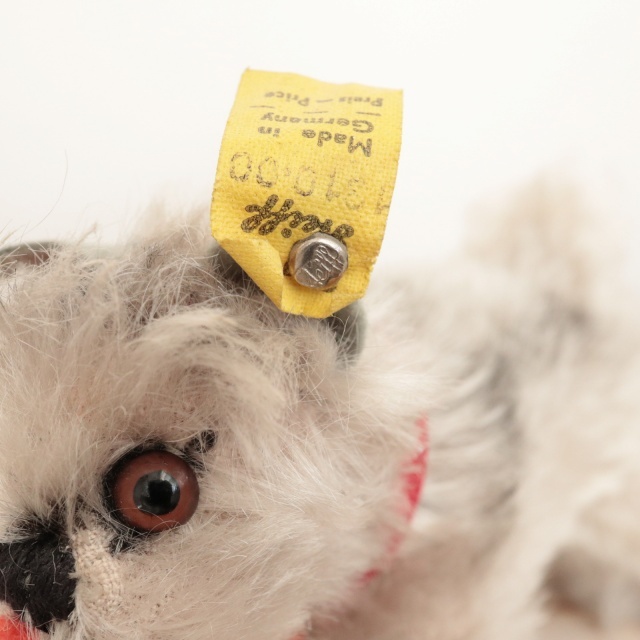 アンティーク シュタイフ シュナウザー Steiff Tessie 10cm