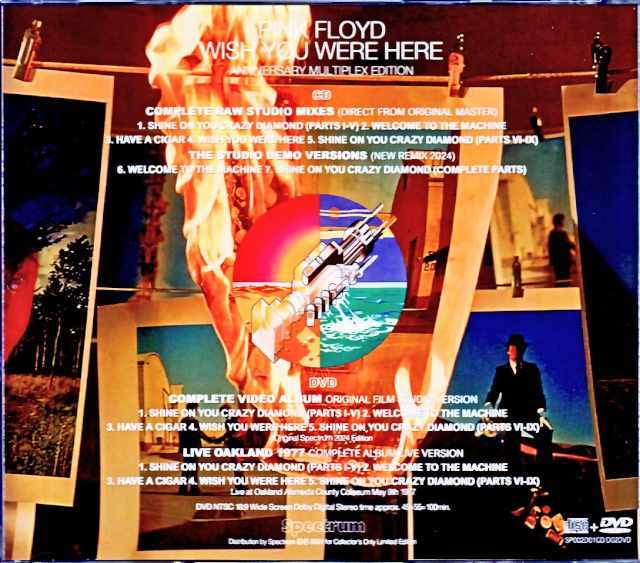 Pink Floyd ピンク・フロイド/炎～あなたがここにいてほしい Wish you