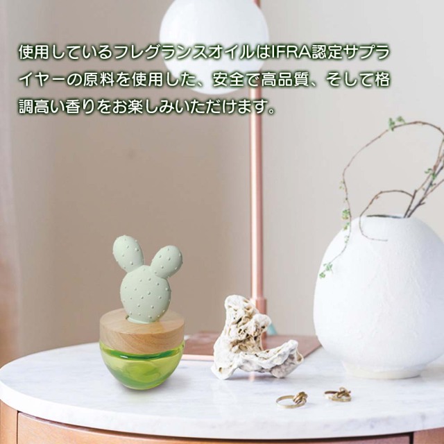 サボテン型カクタスリードディフューザー ライム＆グリーンの香り