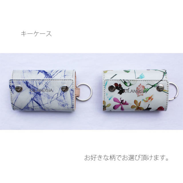 CILANDSIA チランドシア