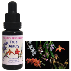 エマージェンシークリーム オーストラリアンブッシュ