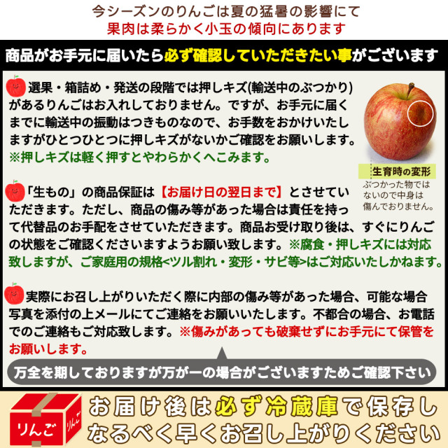 葉っぱの影は甘さのサイン 【葉とらずりんご つがる9kg ファーム】家庭