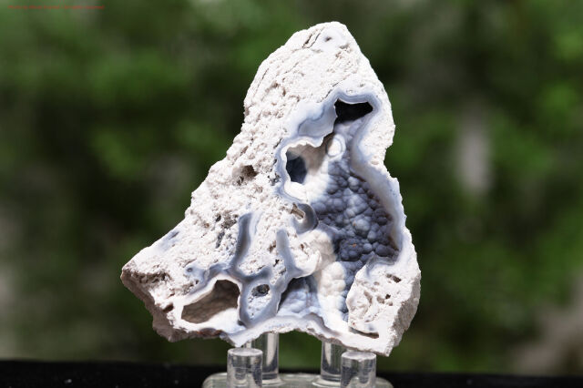 アゲート化サンゴ｜珊瑚の化石が瑪瑙化した天然石・グラウンディング