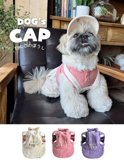 犬用アクセサリーの商品一覧 ｜ DOG DEPT（ドッグデプト）公式