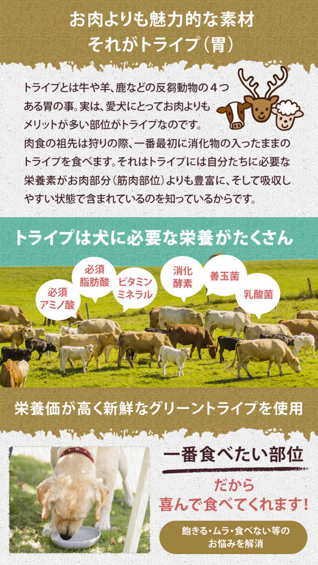 ペットカインド トライプドライ グリーントライプ＆ワイルドサーモン