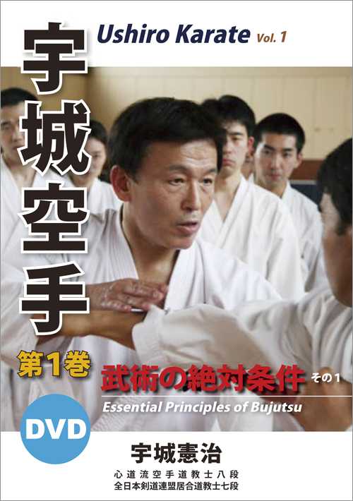 宇城空手型シリーズDVD サンチン 中巻