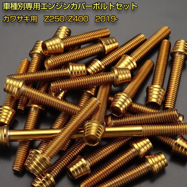 エンジンカバー ボルトセット Z250 Z400 2019年- 33本セット テーパー