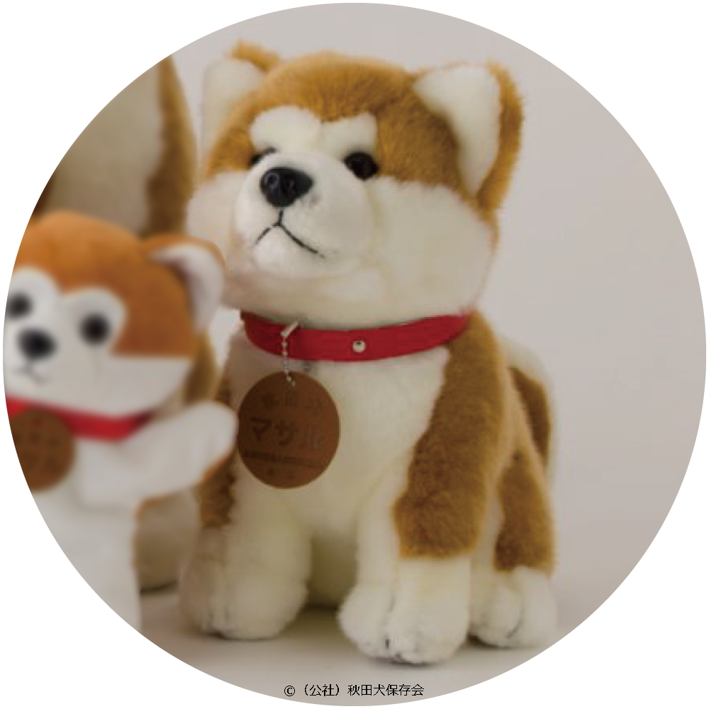 秋田犬マサル ぬいぐるみ（M) | バレエショップ フェアリー