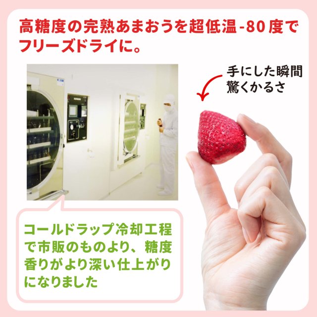 VIPボックス赤 フリーズドライあまおうセット (12g×4袋)