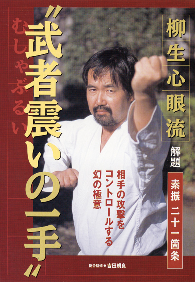 柳生心眼流 解題 武者震いの一手 （DVD)