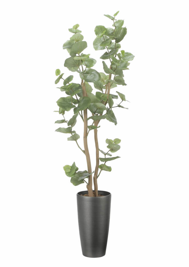 光触媒 光の楽園 スリムシーグレープ1.6m【インテリア フェイク