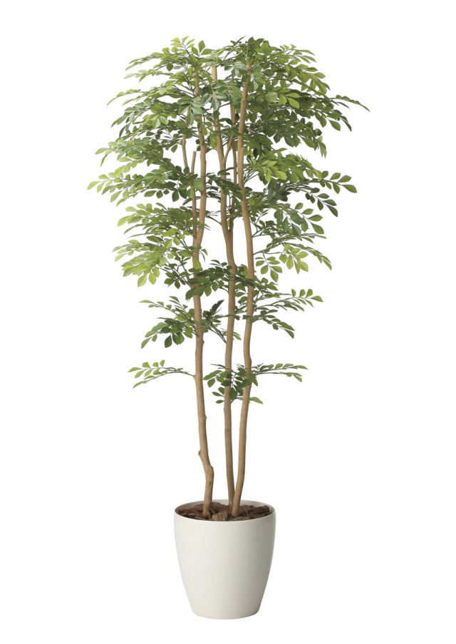 光触媒 光の楽園 スリムシーグレープ1.6m【インテリア フェイク