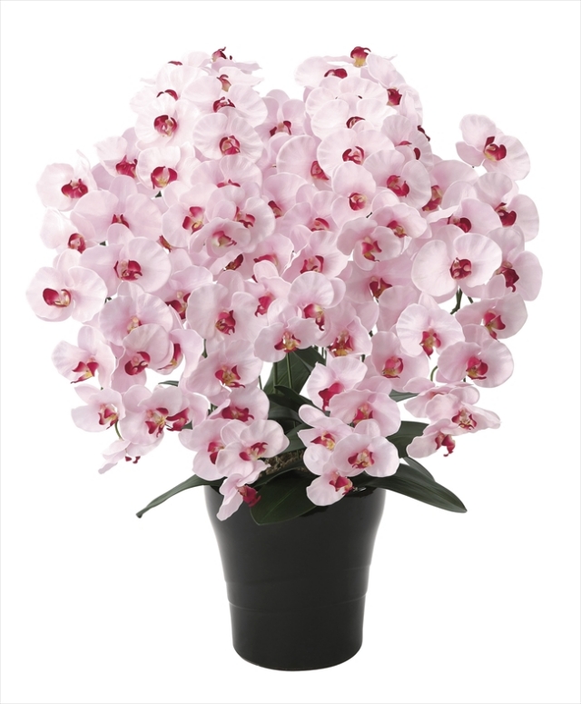 60cm以上 造花と観葉植物の専門店 光の楽園