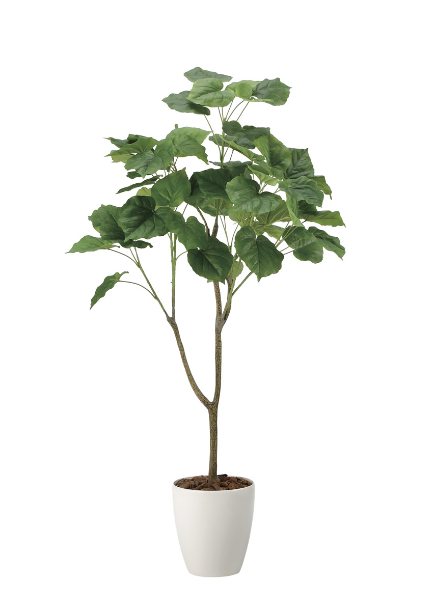 光触媒 光の楽園 フィカスウンベラータ1.35m【インテリア フェイク