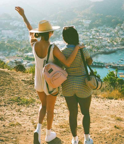 HALF PINT（ハーフパイント） MISTY ROSE（ピンク） |【公式通販