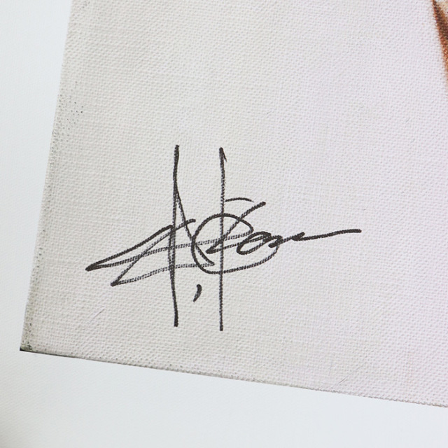 TOYS McCOY トイズマッコイ TMA1841 岡本博アートコレクション 公式