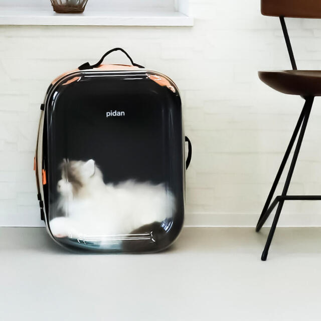 pidan（ピダン） ペット用キャリーバッグ
