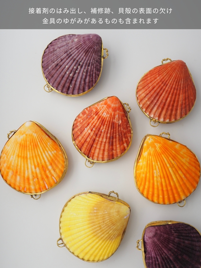 貝殻の小物入れ-ヒオウギガイ紫系-【6cm前後/1個】 En: Shell coin