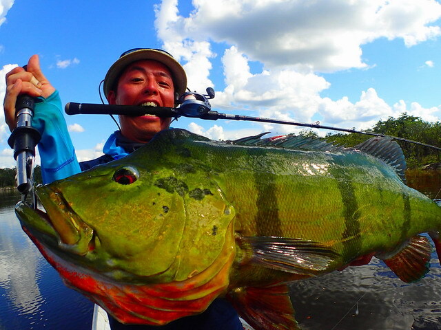 トランスセンデンス レイトブルーミングス 510+ 【シーバスルアー専門