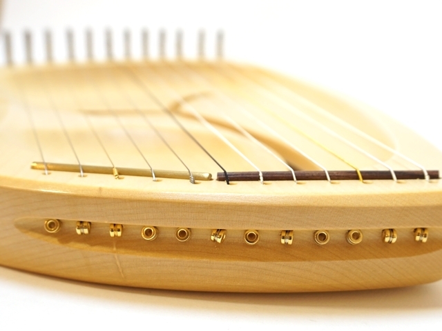 受注発注【182】アウリスライアー/ダイアトニック/12弦/LDD ペロル