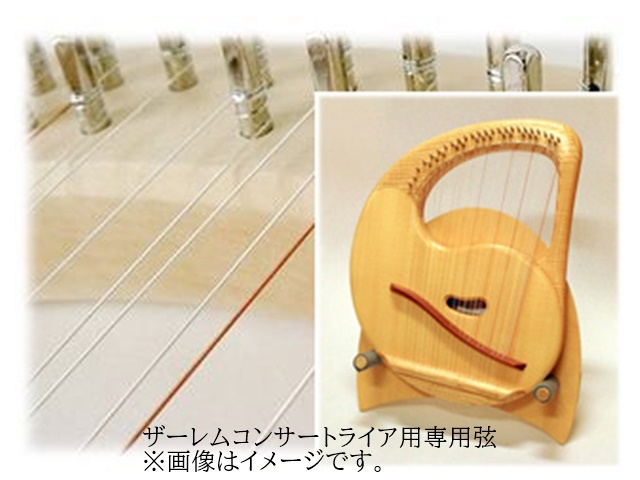 専用弦(製造番号提示必須) ペロル