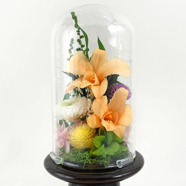 ガラスドームのプリザーブドフラワー 仏花 デンファレ｜お供え用