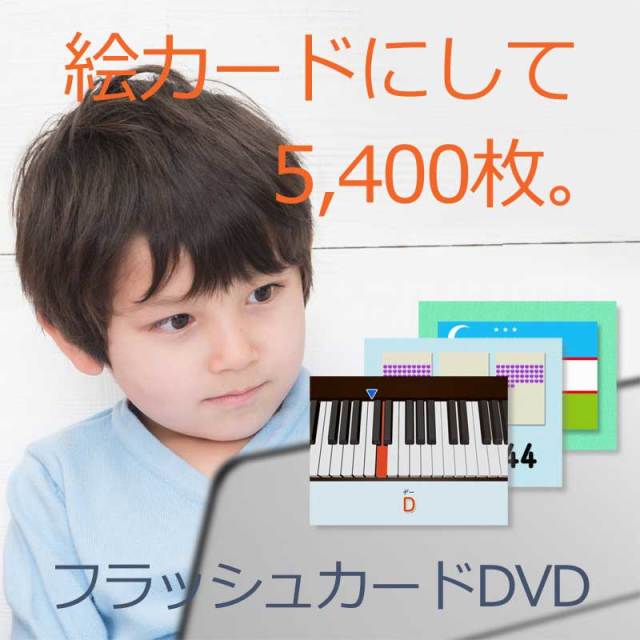 公式】視覚学習 ティンカーベル9巻 取り組みのヒント付 | 絵カード学習