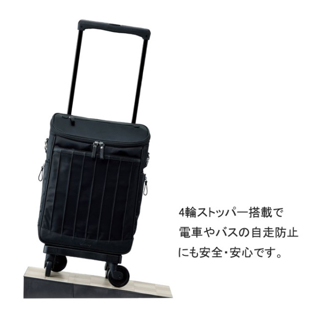 スワニーキャリーバッグLサイズ SWANY（スワニー） グイ キャリーバック Lサイズ : カバン専門店