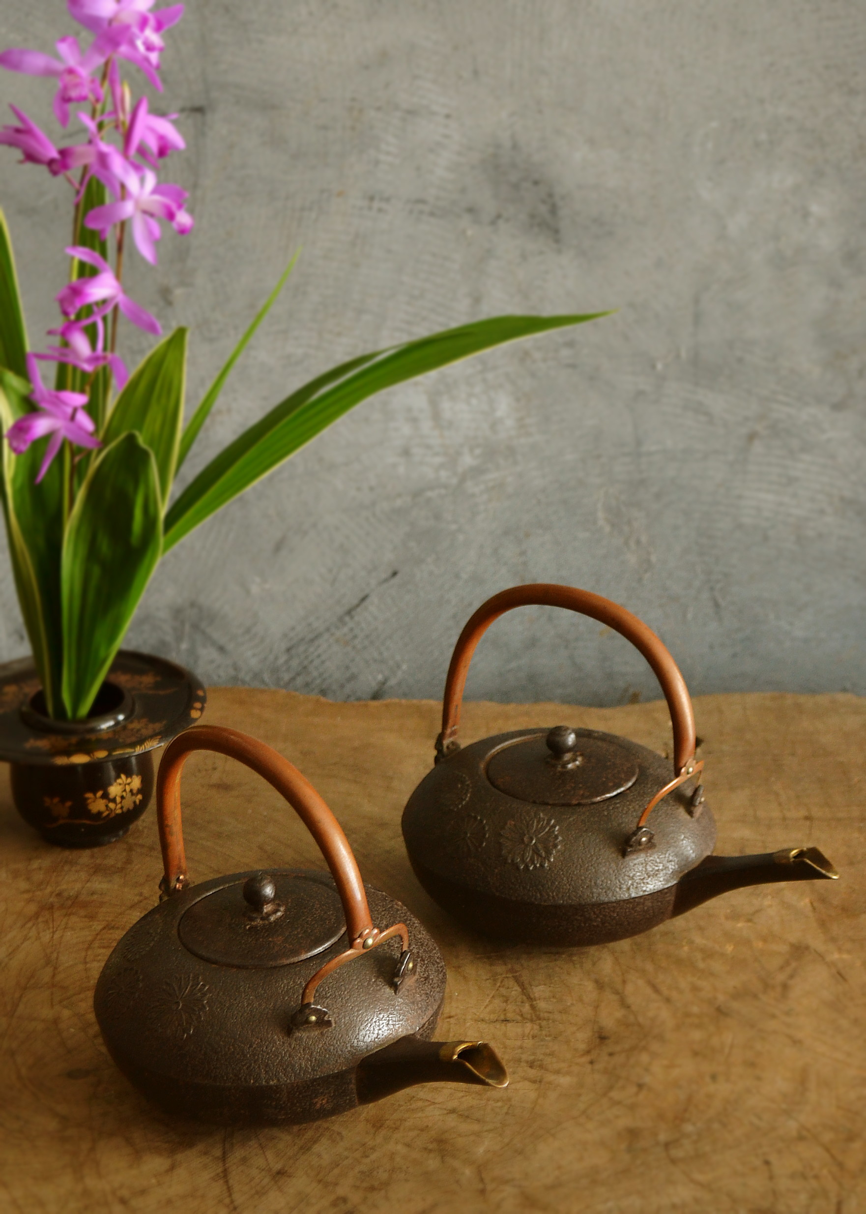 鉄銚子一対 酒器 定泉作 水注 水次 ちろり 鉄瓶 急須 在