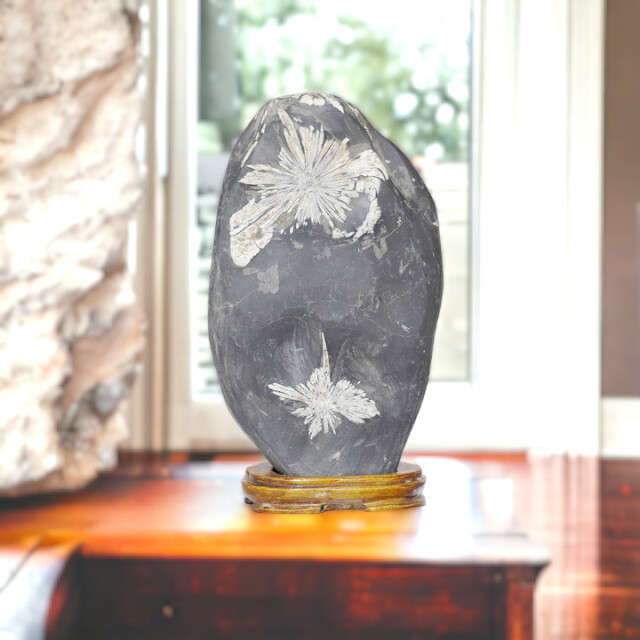 菊花石 No.262 【鑑賞用鉱石】 高さ:約25cm 幅:約15cm 重さ:約5kg