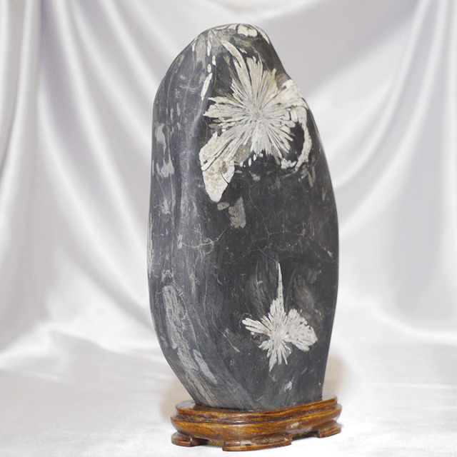 菊花石 No.262 【鑑賞用鉱石】 高さ:約25cm 幅:約15cm 重さ:約5kg