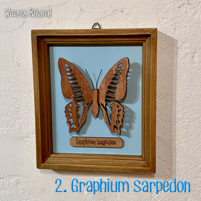 ウィッチーズキッチンのアートフレーム 【 蝶の標本箱 butterfly