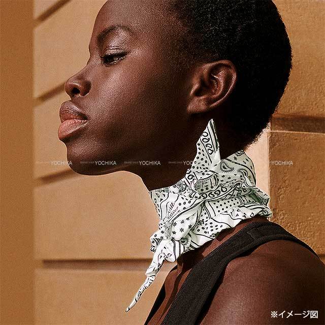 HERMES エルメス スカーフ ツイリー フリル エプロンドール バンダナ